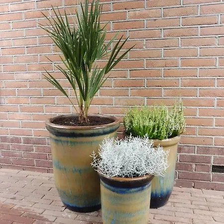 't Huusje *
